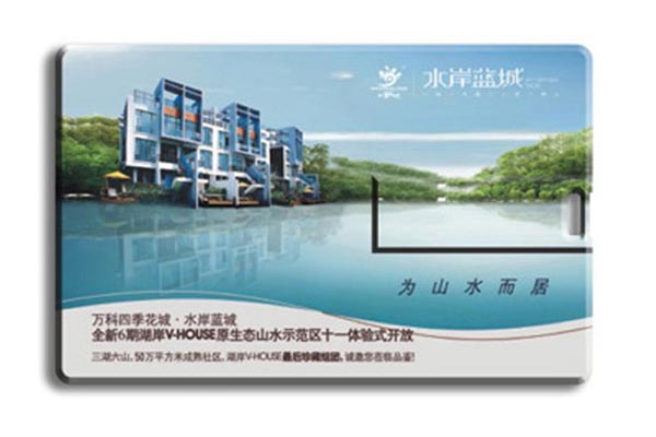 U disk card 4 (ABS material)